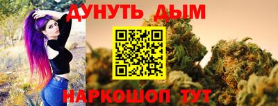 крисы Обь
